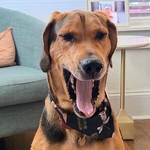 Meet your Posher, Athena